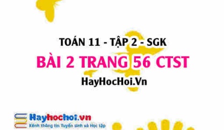 Bài 2 trang 56 Toán 11 tập 2 Chân trời sáng tạo